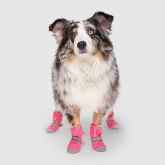 Hot Pavement Boots in Neon Pink, Canada Pooch Dog Boots
