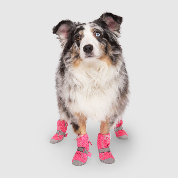 PUPTECK Non Slip Dog Socks for Hot Pavement with Grips, Dog Shoes for  Hardwood Floors Licking Booties for Small Medium Large Size Dogs, Summer  Paw