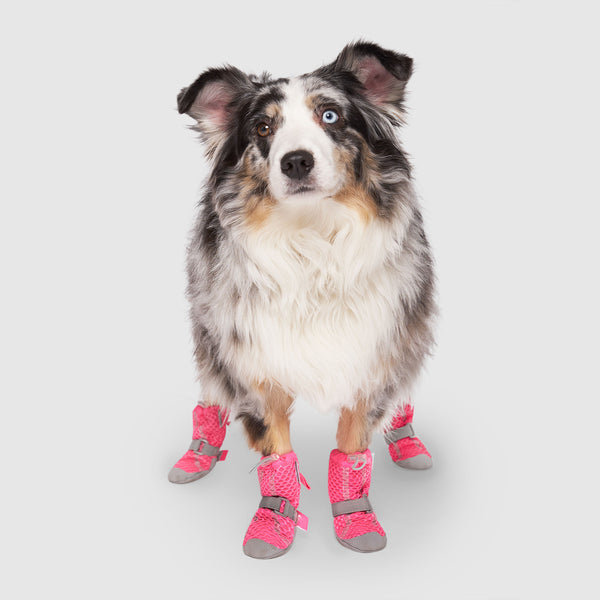 Dog shoes for hot concrete Clearance