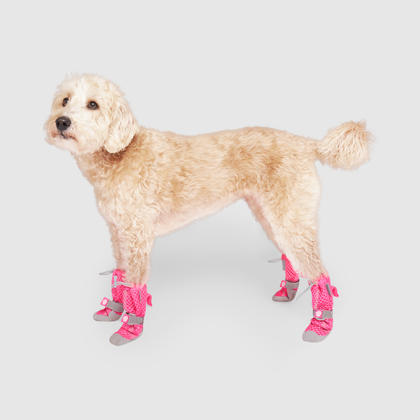 Dog Booties Waterproof Dog Hiking Shoes Dog Boot For Small Size Dogs, Puppy  Shoes For Hot Pavement Winter Snow