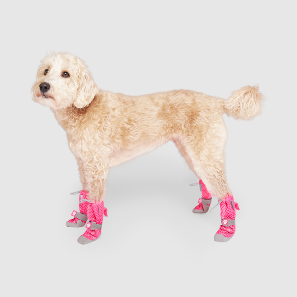 Dog booties for heat protection clearance
