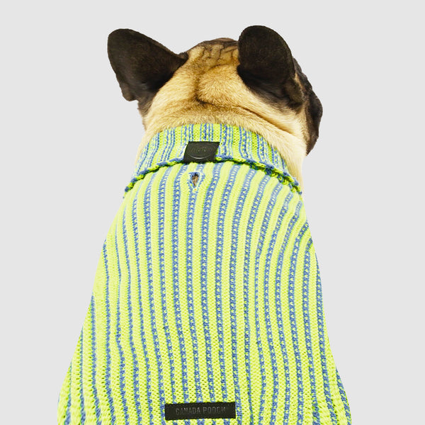 Icon Striped Dog Sweater