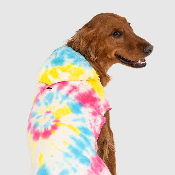 No Authority Tie Dye Dog Hoodie Canada Pooch