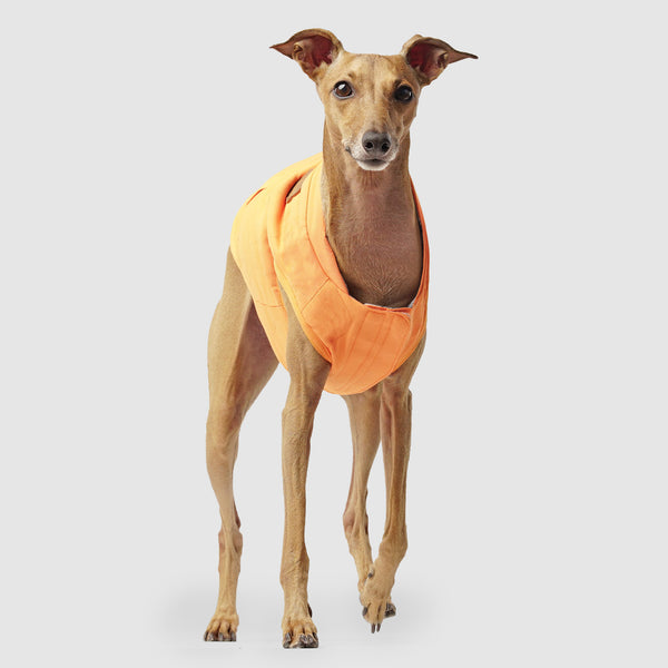 Lightweight & Reversible Dog Vest | Canada Pooch