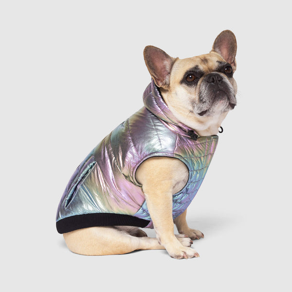 Dog shop bubble jacket