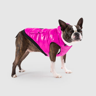 Shiny Puffer Dog Vest in Pink, Canada Pooch Dog Puffer Vest 