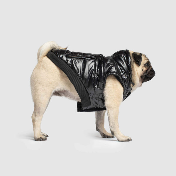 Shiny Dog Puffer Jacket Canada Pooch - Main Image