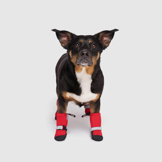 Soft Shield Boots in Red, Canada Pooch Dog Boots