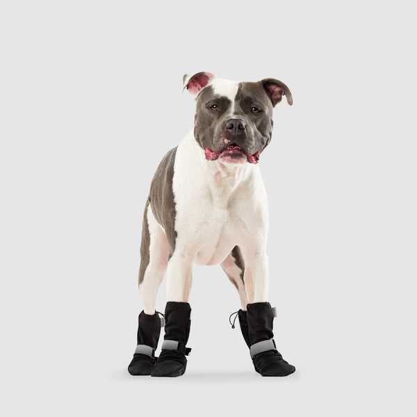 The Best Winter Dog Boots: Soft Shield Canada Pooch