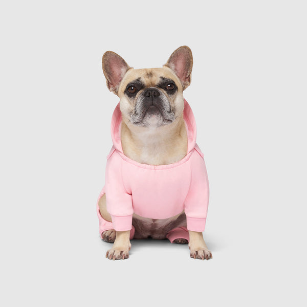 Soft Side Sweatsuit for Dogs | Canada Pooch Soft Side Sweatsuit for Dogs | Canada Pooch