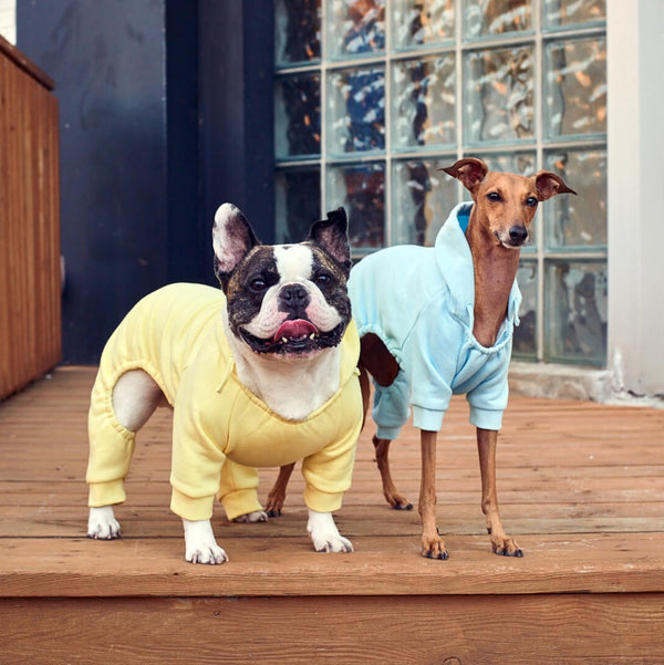 Soft Side Sweatsuit for Dogs | Canada Pooch