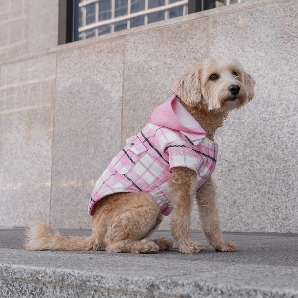 The Shacket - Dog Flannel Shirt | Canada Pooch