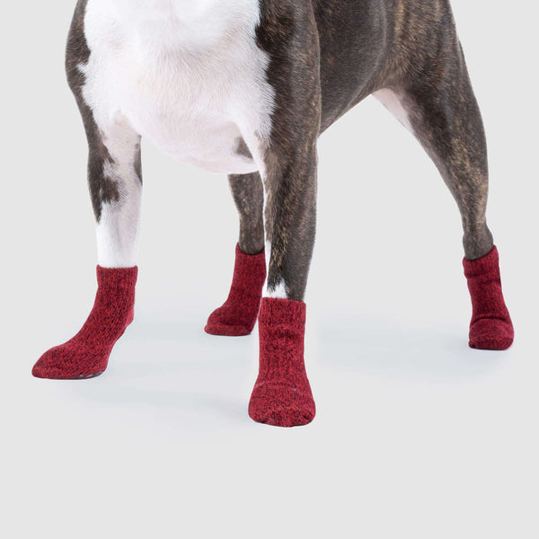 Dog Socks, Trixie, Shop Now