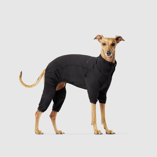 Thermal Layer Dog Onesie in Black, Canada Pooch Dog Onesie