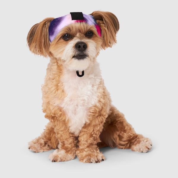 Tie Dye Dog Beanie With Ear Holes Canada Pooch