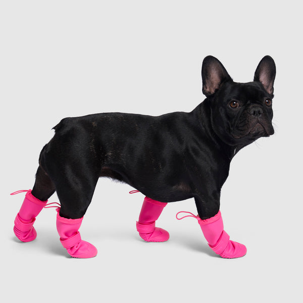 4 Sets Waterproof Dog Shoes Adjustable Drawstring Rain Snow Dog Bootie –  KOL PET