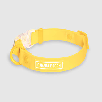 Waterproof Collar in Yellow, Canada Pooch, Dog Collar|| color::yellow|| size::na