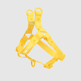 Waterproof Harness in Yellow, Canada Pooch, Dog Leash || color::yellow|| size::na
