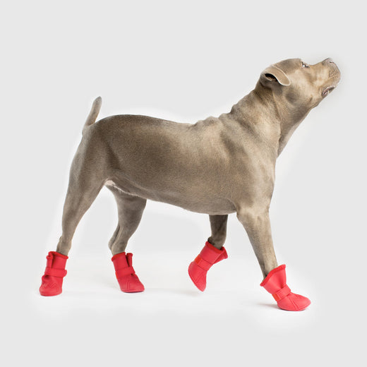 Wellies Lined Dog Boots in Red, Canada Pooch, Dog Boot