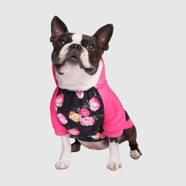 Boston shop terrier hoodies