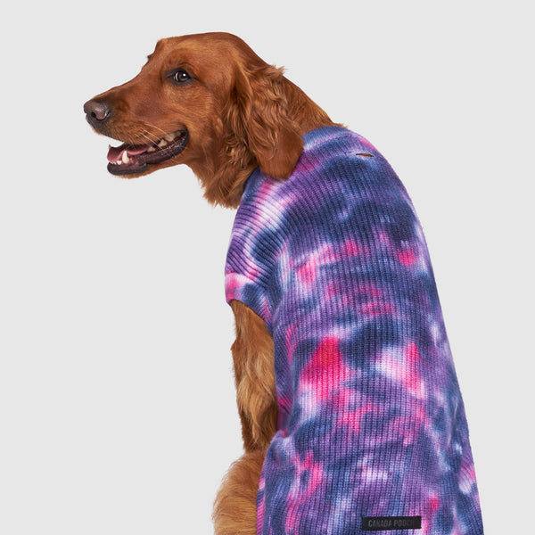 Tie dye 2024 dog sweater