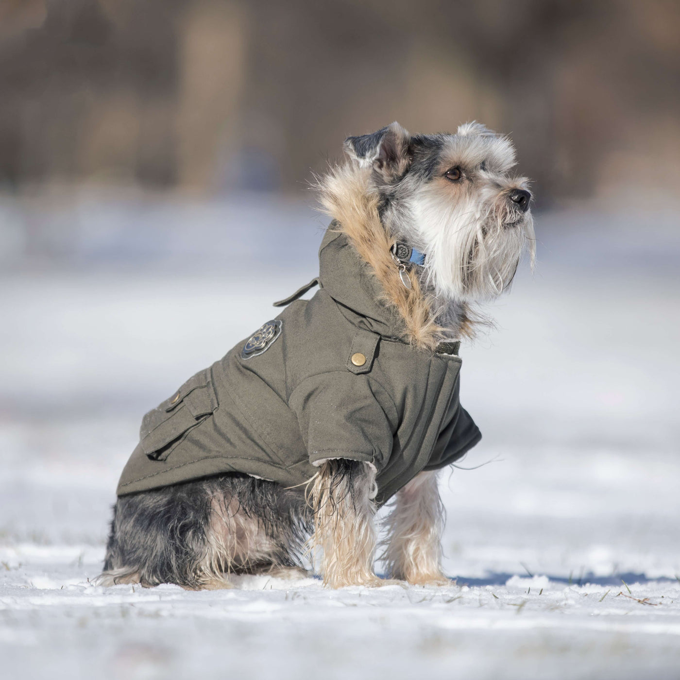 Dog wearing the Alaskan Army Parka in army green from Canada Pooch