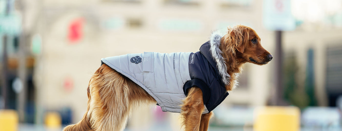Pet Products Dog Clothing Coat Jacket Hoodie Sweater Big Dog