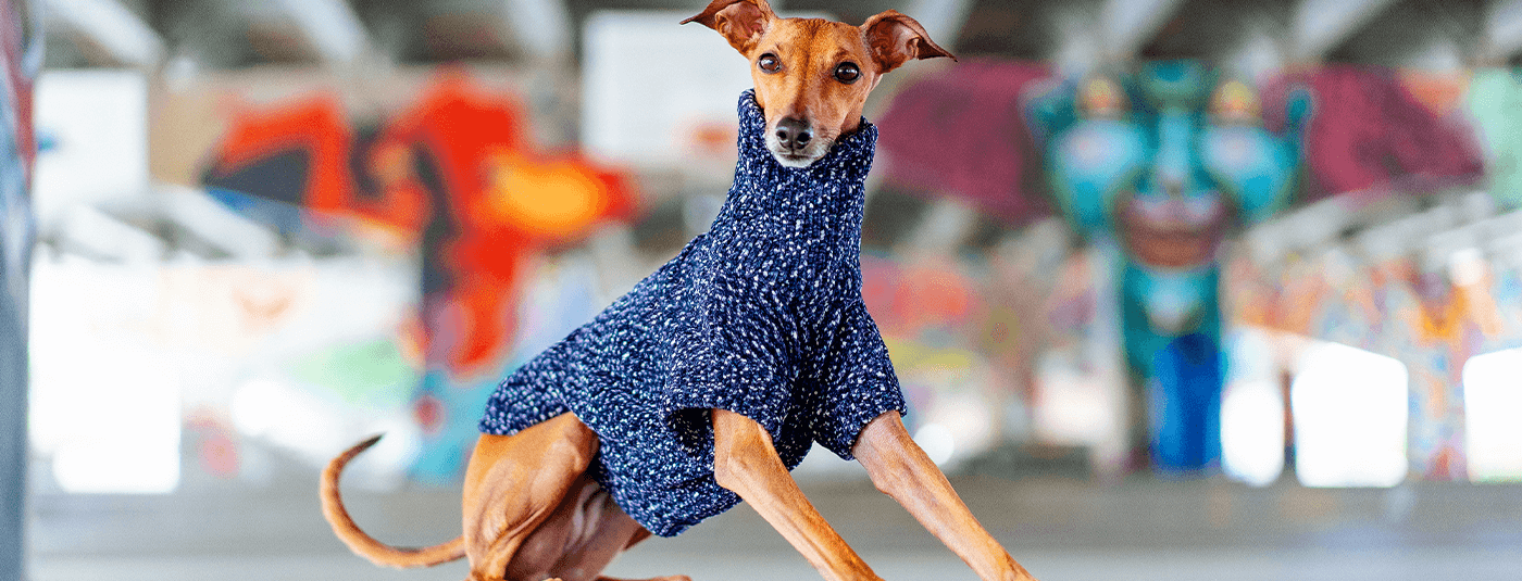 Canadian cold 2025 weather gear