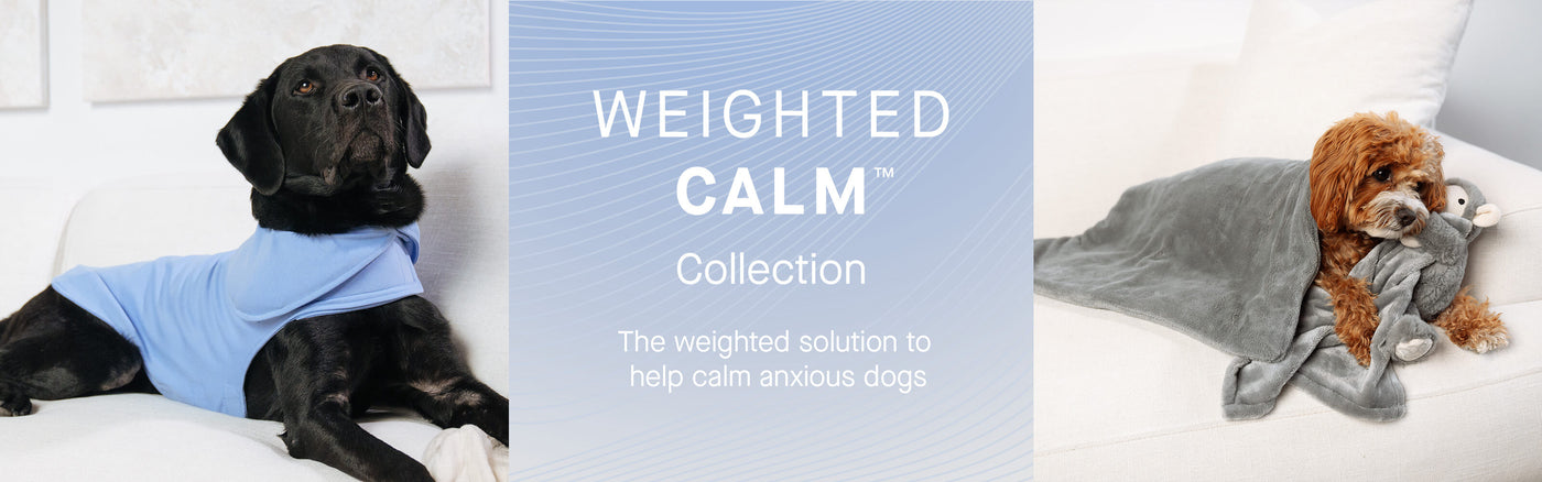 Behind the Design: Weighted Calm™ Collection – Canada Pooch