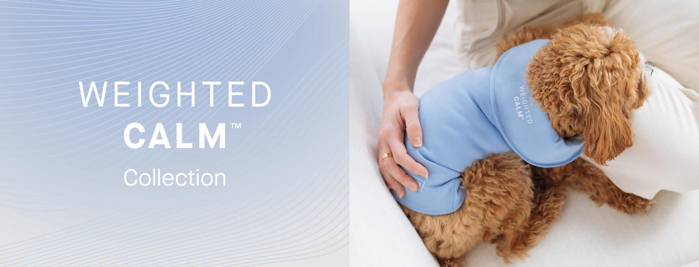 Weighted Calm Solutions for Anxious Dogs Canada Pooch