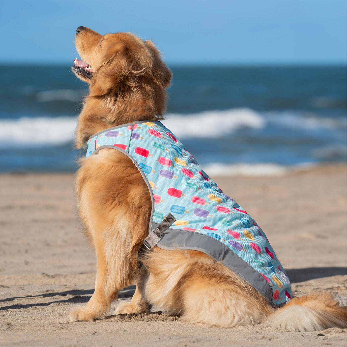 Dog Cooling Vests: Your Secret Weapon Against the Summer Heat