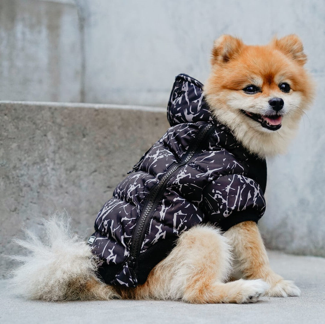 The Ultimate Guide to Choosing the Right Dog Jacket: Factors to Consider by Canada Pooch