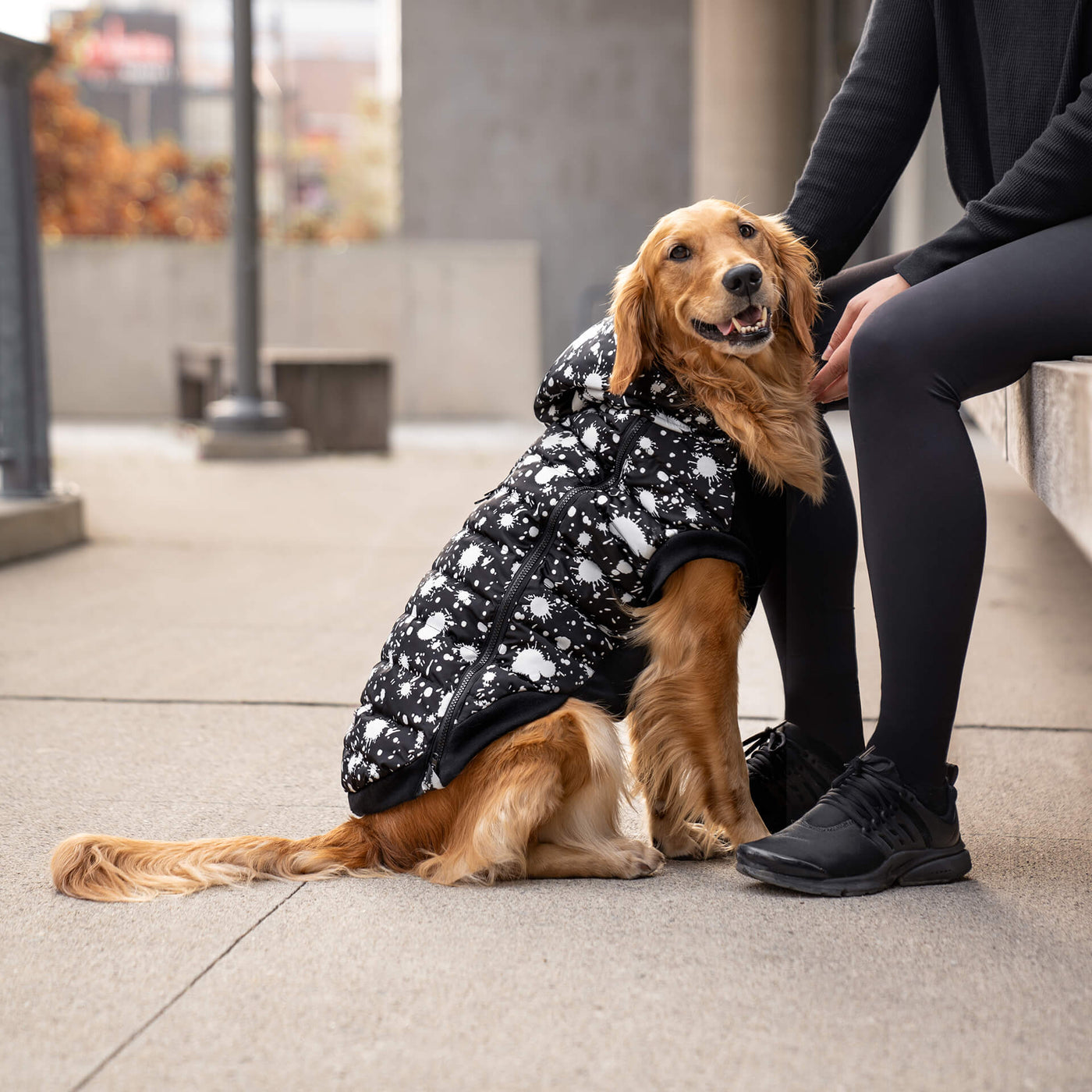 Taking Measurements: A Comprehensive Guide to Fitting Dog Jackets