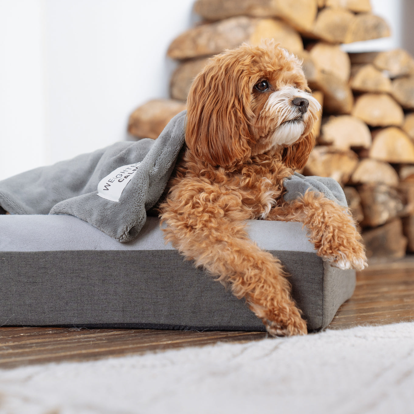Small dog using the Calming Weighted Blanket from Canada Pooch
