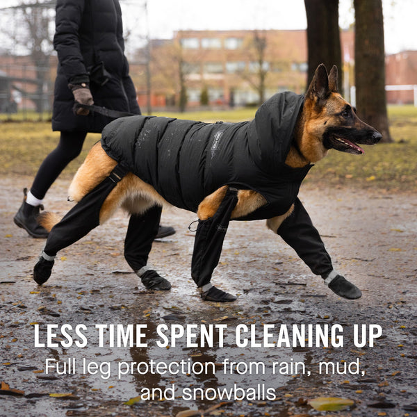 Suspender Dog Boots | Canada Pooch