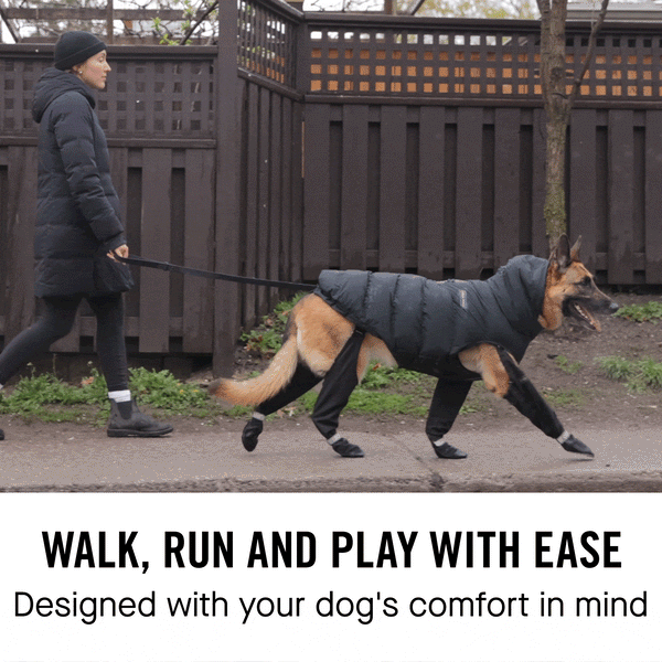 Suspender Dog Boots | Canada Pooch - Can Dogs Choke On Satin Riding Boots
