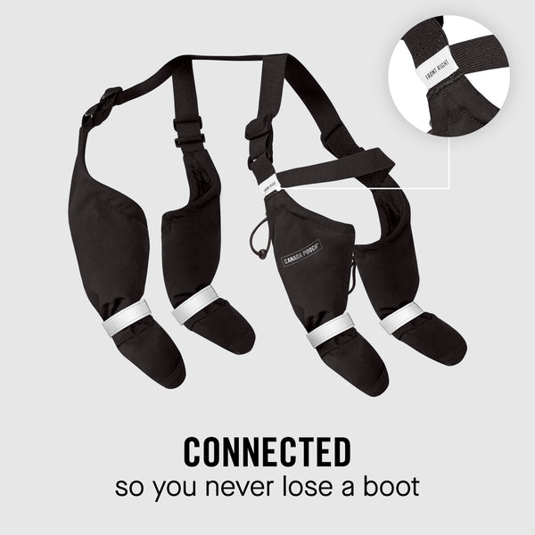 Suspender Dog Boots | Canada Pooch