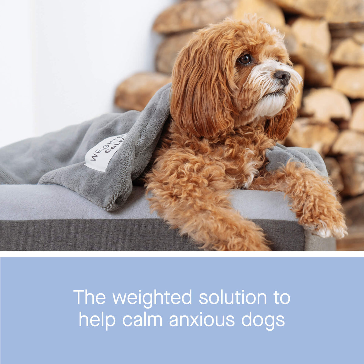 Weighted Blanket For Dogs Canada Pooch