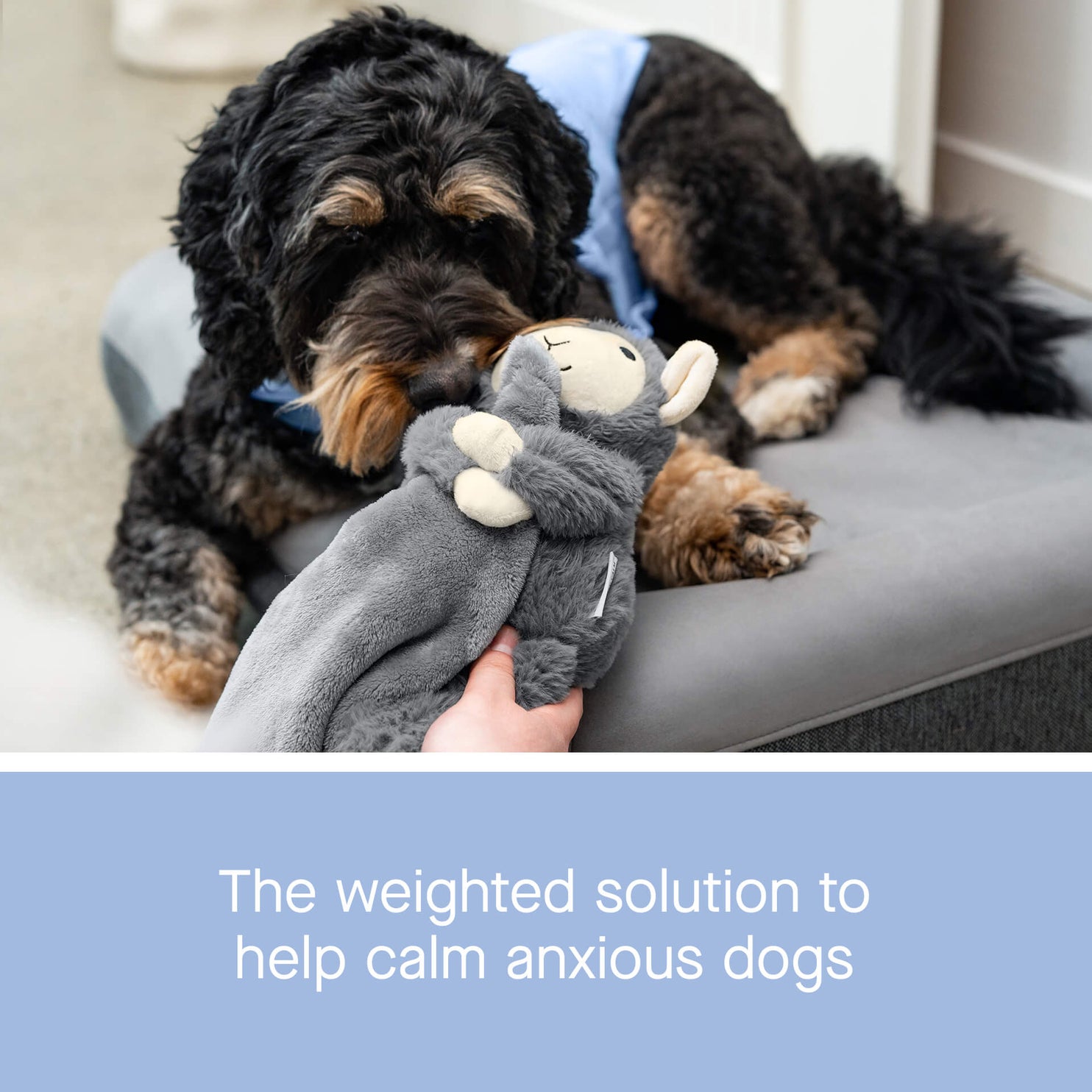 Weighted Dog Anxiety Toy Canada Pooch