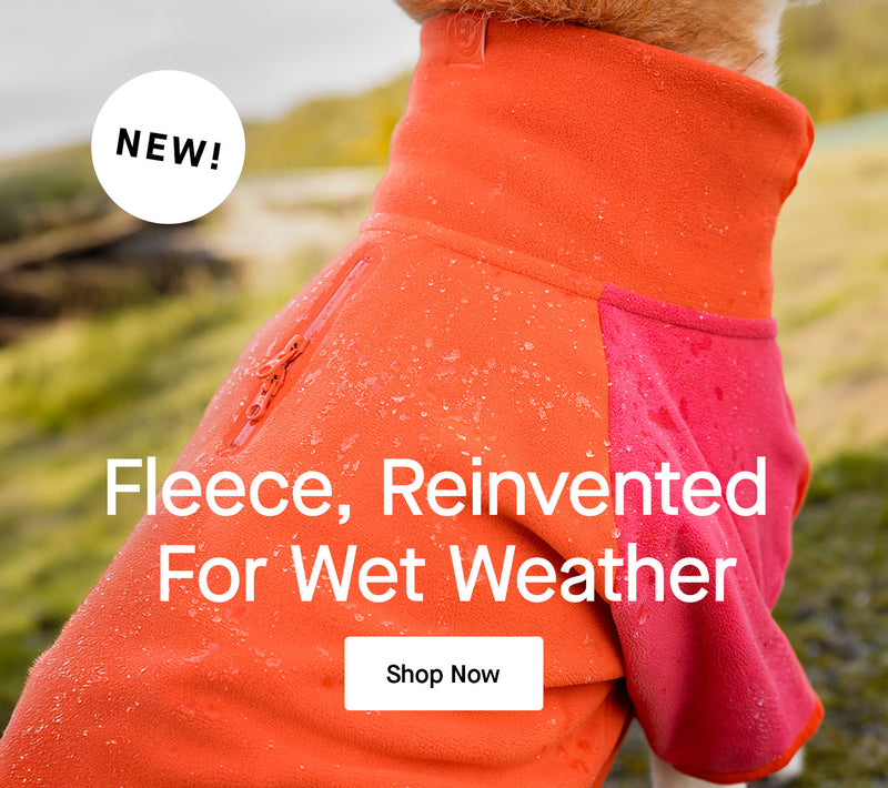 Dog wearing the Weather-Resistant Fleece Pullover from Canada Pooch