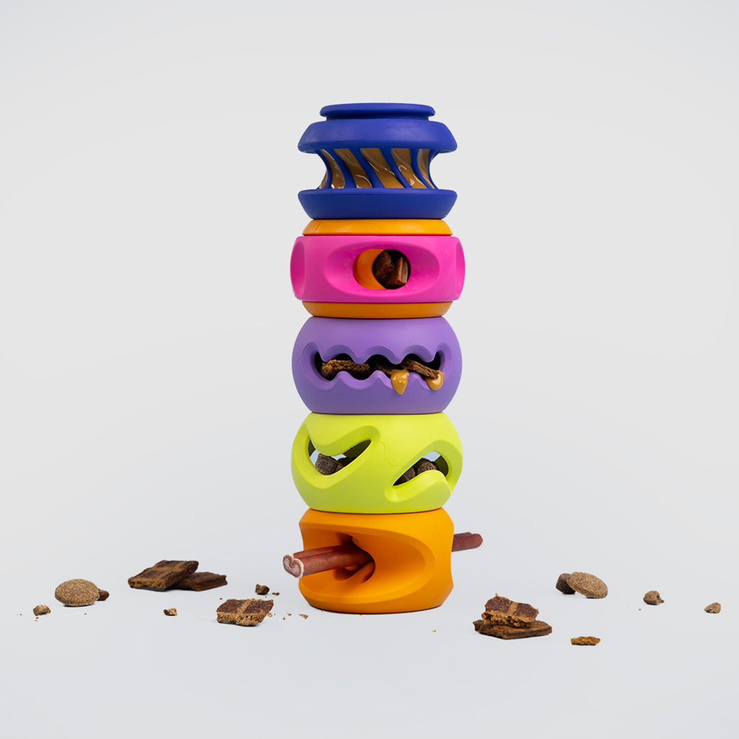 The Full Stack Dog Enrichment Bundle | Canada Pooch