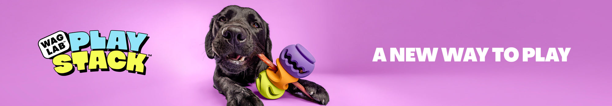 A New Way To Play with WAGLAB PlayStack toys
