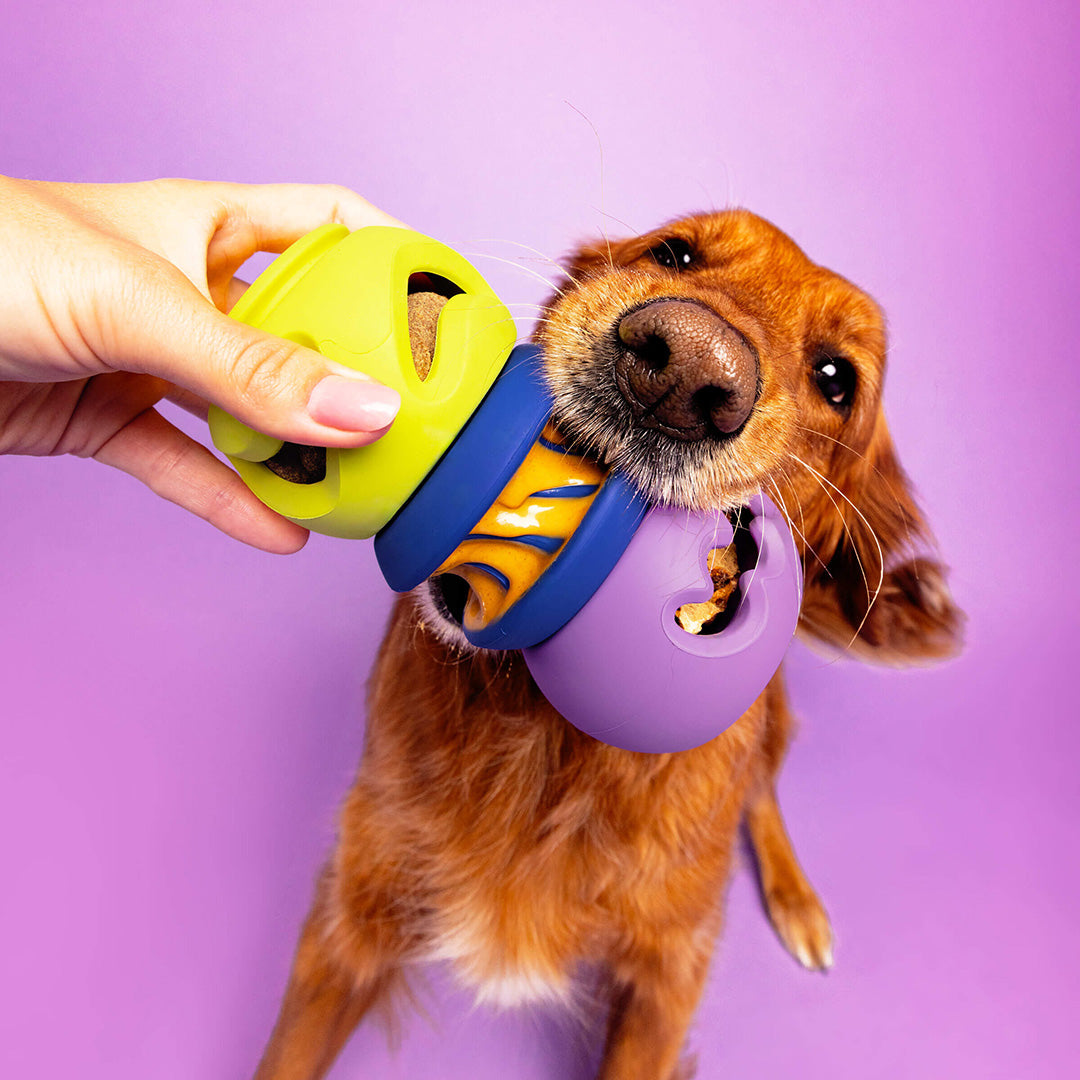 家具 w.corgi2pt.poodle7 The Starter Stack Interactive Dog Enrichment Toy | Canada Pooch