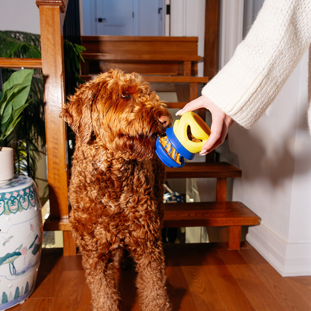 The Starter Stack Interactive Dog Enrichment Toy | Canada Pooch