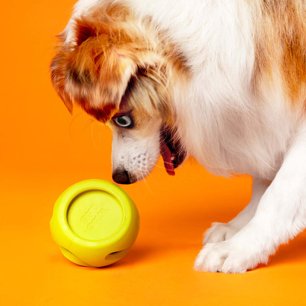 The Starter Stack Interactive Dog Enrichment Toy | Canada Pooch