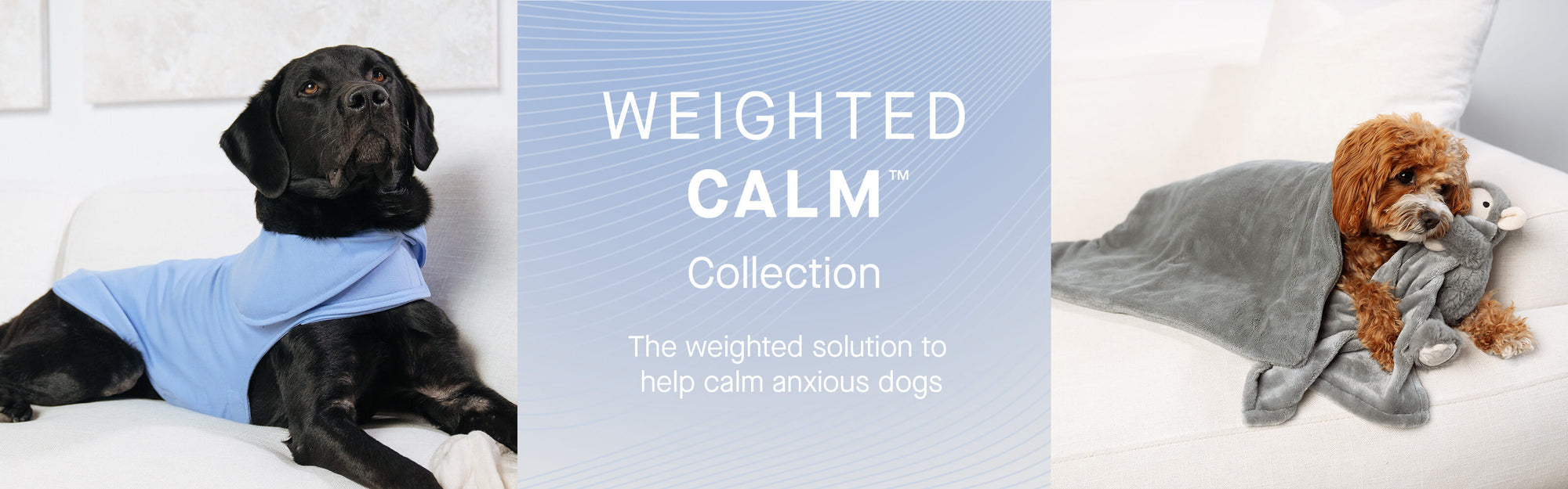 Dogs featuring products from the Weighted Calm collection from Canada Pooch