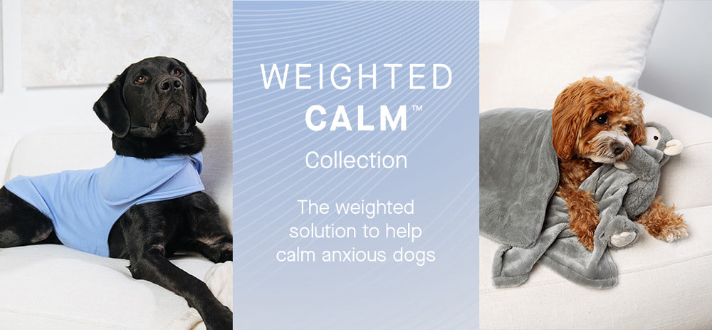 Dogs featuring products from the Weighted Calm collection from Canada Pooch