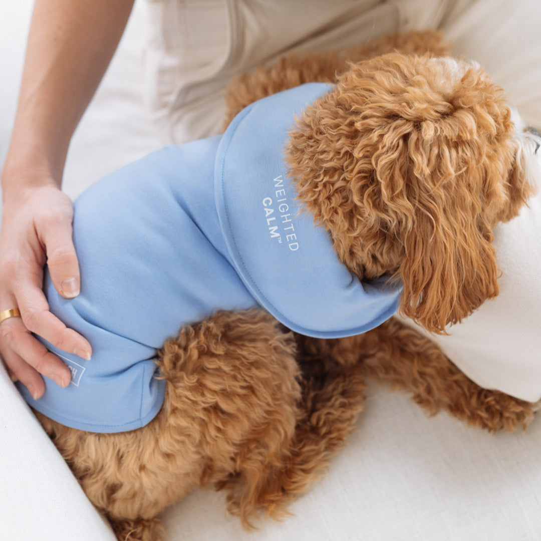 Dog calming outlet sweater