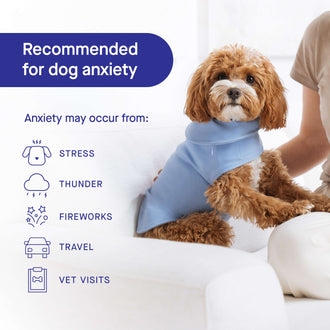 Weighted Dog Anxiety Toy