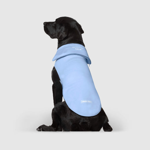 Weighted Calming Vest in Blue, Canada Pooch Dog Calming